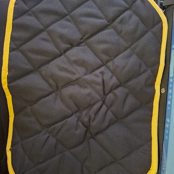 PLACEMAT (X-LGE) - Picture 2 of 3